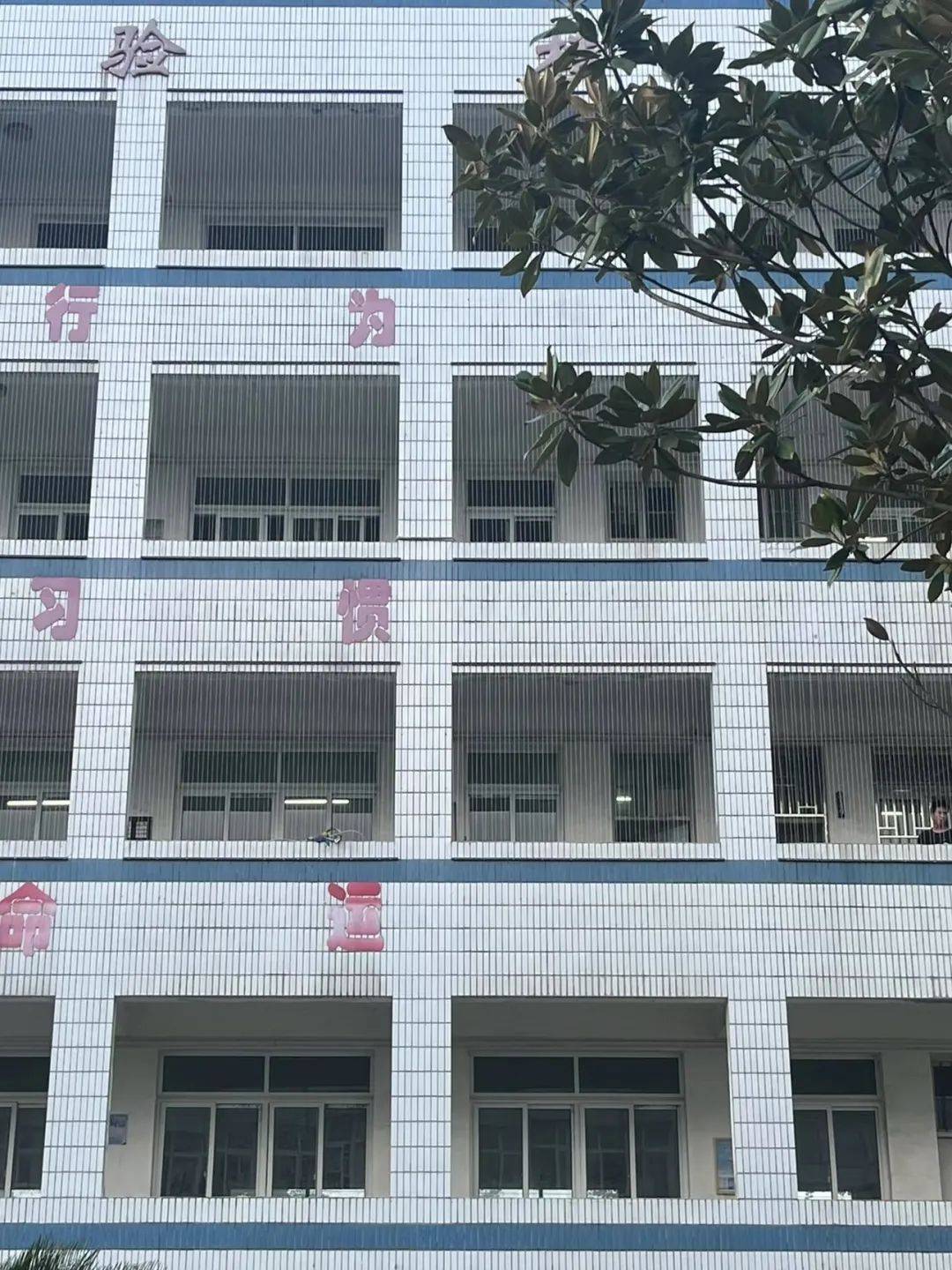 校园铁丝网，能托住下坠的孩子吗