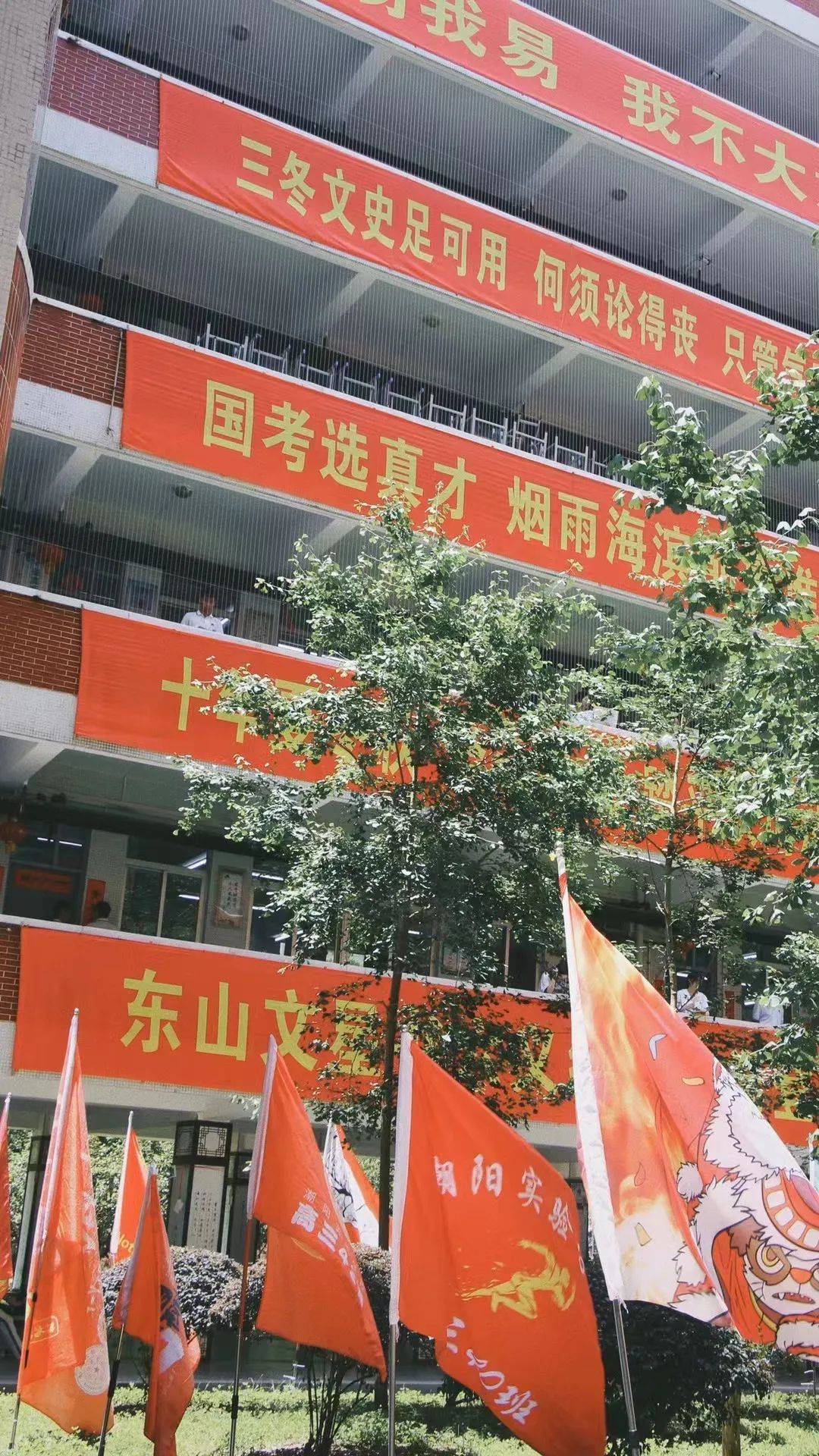 校园铁丝网，能托住下坠的孩子吗