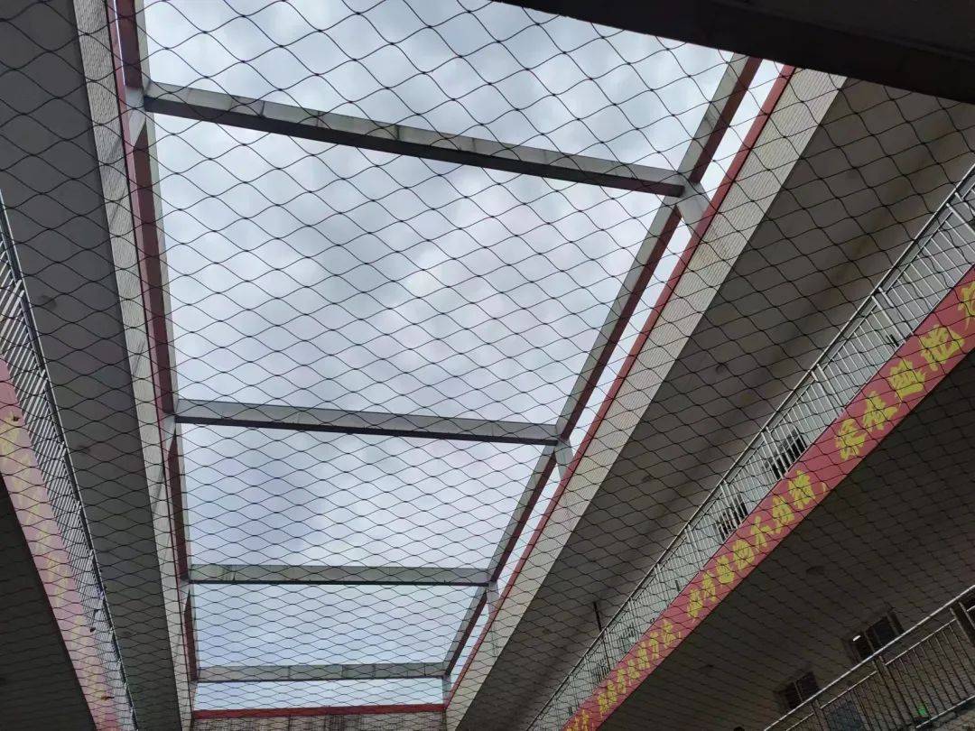 校园铁丝网，能托住下坠的孩子吗