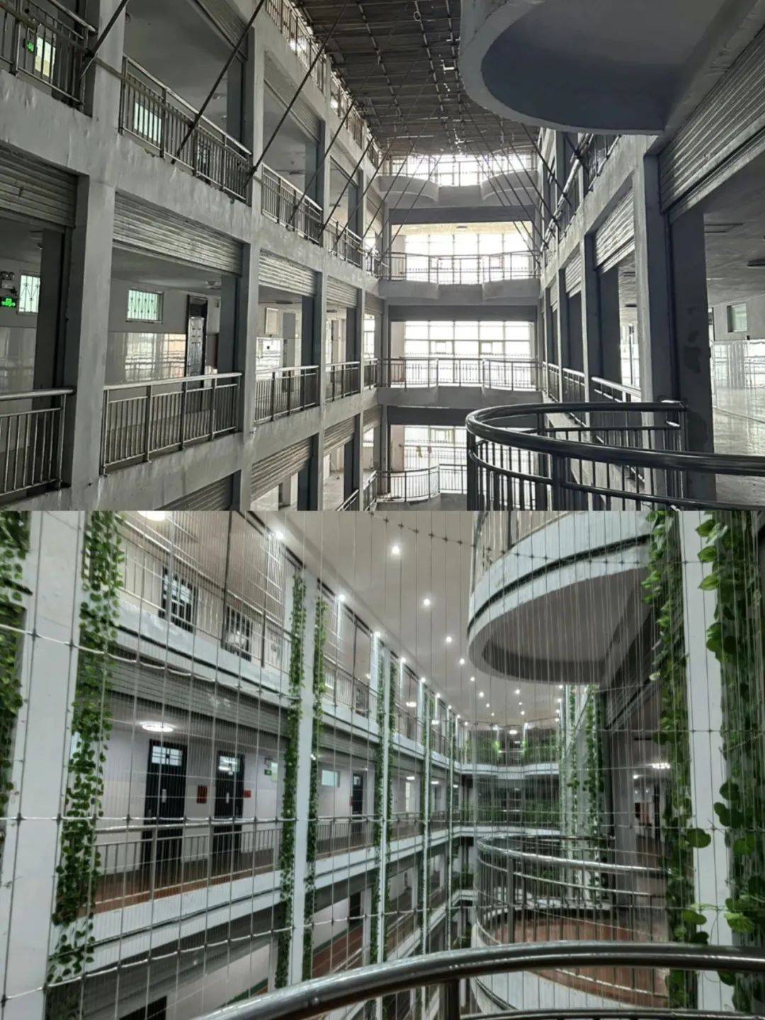 校园铁丝网，能托住下坠的孩子吗