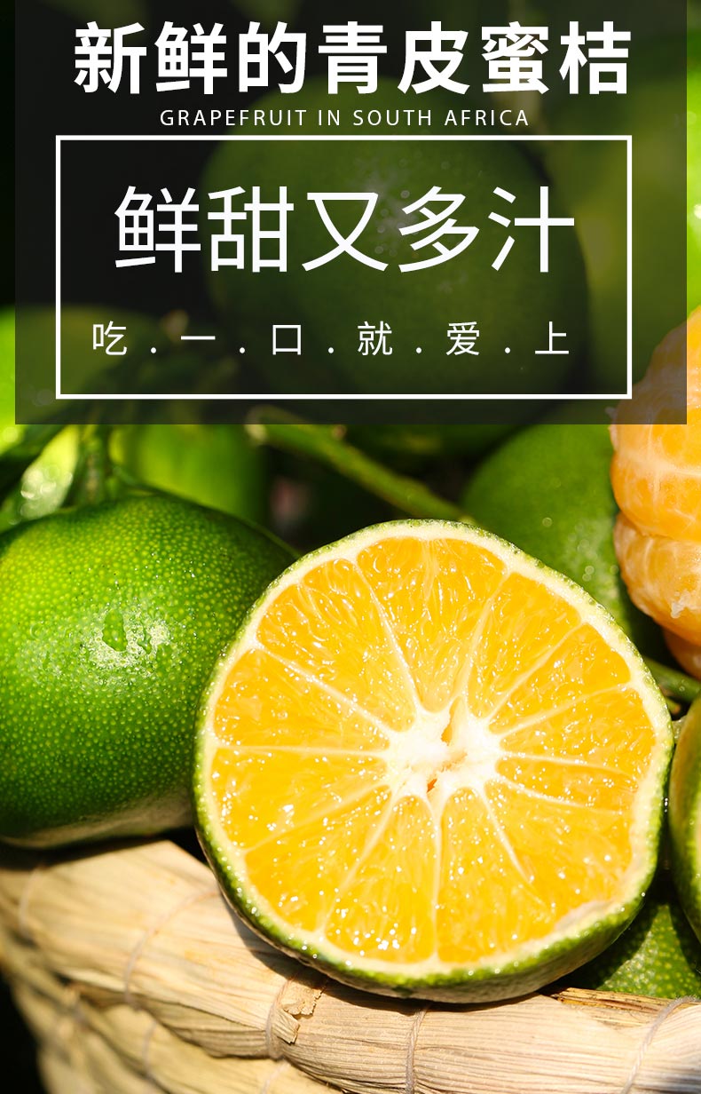 橘子理财(橘子理财平台出借人)